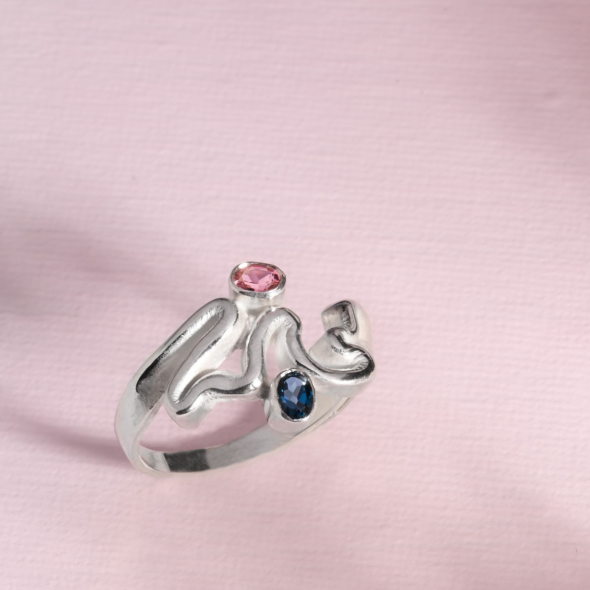 Foto van de 'The Beauties of Nature' ring
